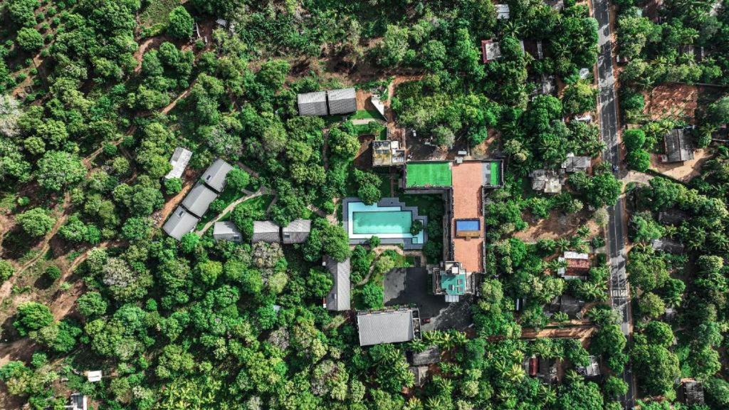 Covanro Sigiriya - Brand New Luxury Hotel Eksteriør billede