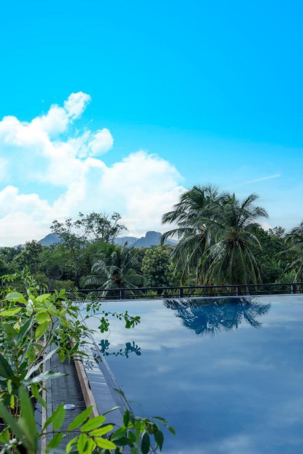 Covanro Sigiriya - Brand New Luxury Hotel Eksteriør billede